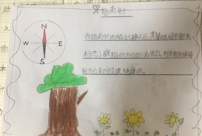 天然指南针有哪些东西