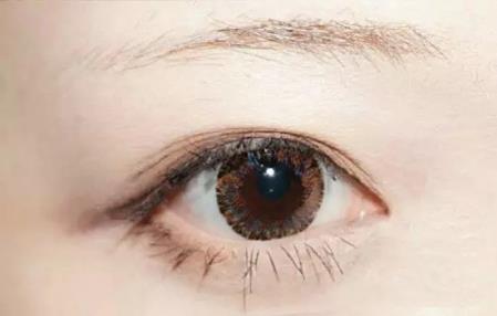 新手怎么画眉毛图解 新手画眉毛的步骤图片 新手怎么画眉毛图解 新手画眉毛的步骤图片