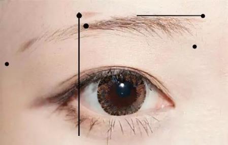 新手怎么画眉毛图解 新手画眉毛的步骤图片 新手怎么画眉毛图解 新手画眉毛的步骤图片