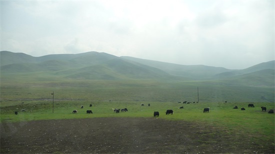 大美青海之拉脊山 ,鹰飞不过去的地方！
