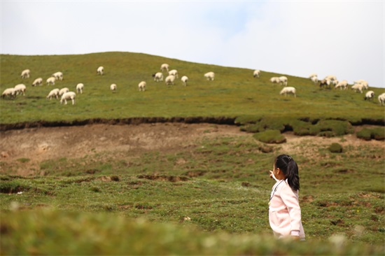大美青海之拉脊山 ,鹰飞不过去的地方！