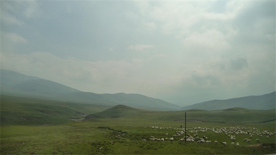 大美青海之拉脊山 ,鹰飞不过去的地方！