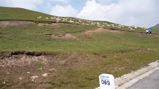 大美青海之拉脊山 ,鹰飞不过去的地方！