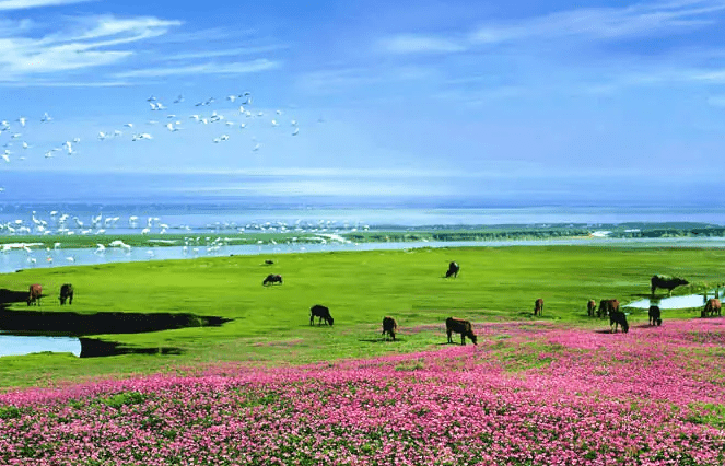 上饶市有多少人口(上饶市各区县人口排名)