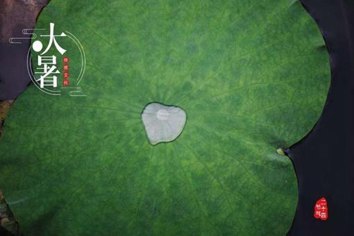 大暑是一年中最热的吗应该注意什么问题?