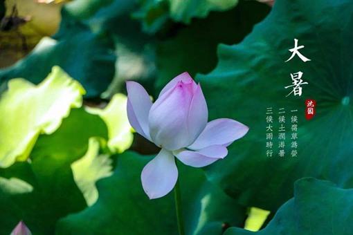 大暑是一年中最热的吗应该注意什么问题?