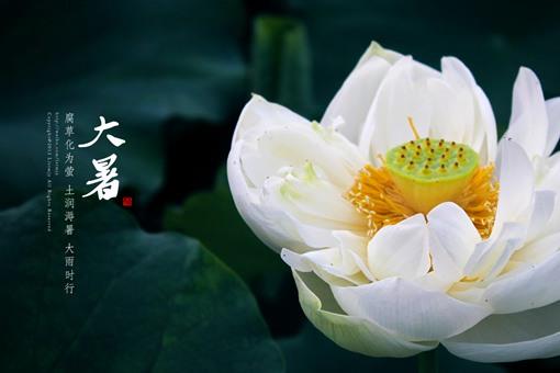 大暑是一年中最热的吗应该注意什么问题?