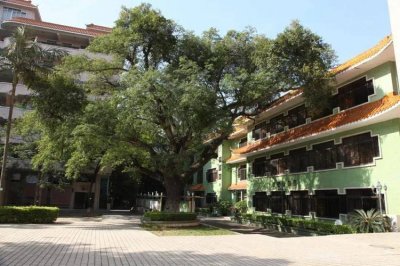 ​平遥古城二日游玩攻略