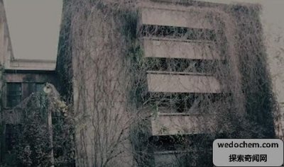 ​劲松小区灵异事件(1984年劲松灵异事件)