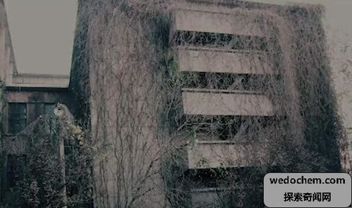 劲松小区灵异事件(1984年劲松灵异事件)-第1张图片-