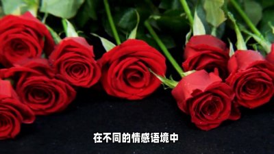 ​13朵玫瑰代表什么意思