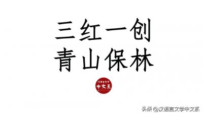 ​小题 | 什么是“三红一创青山保林”？