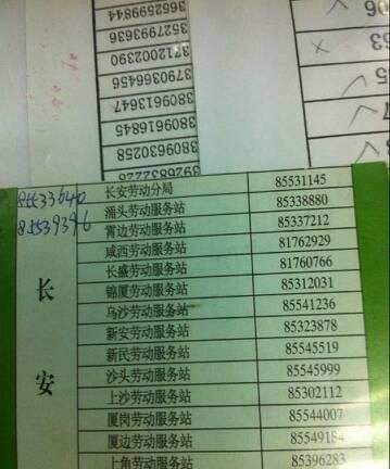 劳动局电话24小时在线