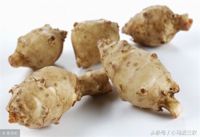 ​洋姜有什么功效与作用（农村最常见的洋姜，我们叫做鬼子姜！你知道它的功效吗