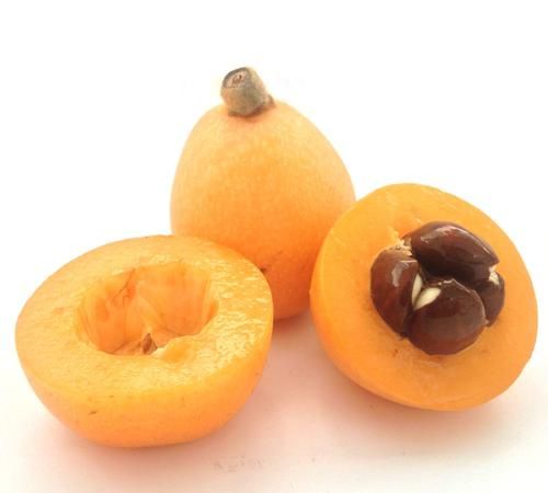 新鲜的枇杷果子泡水可以浇花吗