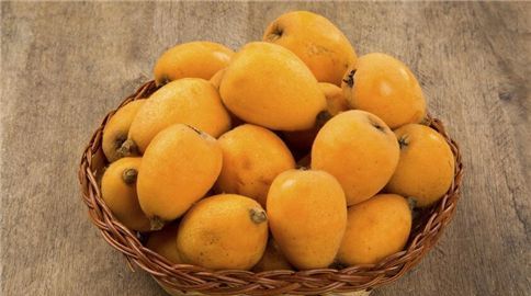 琵琶叶能不能泡水喝