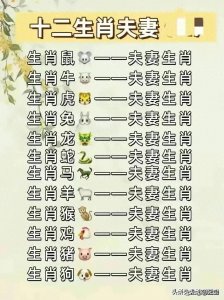 ​终于有人把“十二生肖夫妻配对表”，整理清楚了，收藏起来看看吧