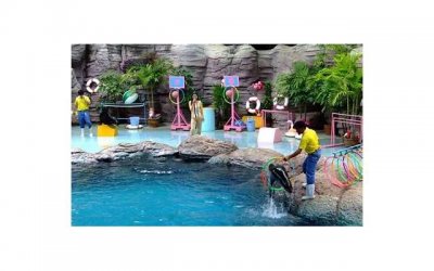 ​为什么女生有了男朋友还要和我暧昧？