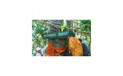 ​我奋不顾身的去爱男朋友，父母却想阻挡我的幸福