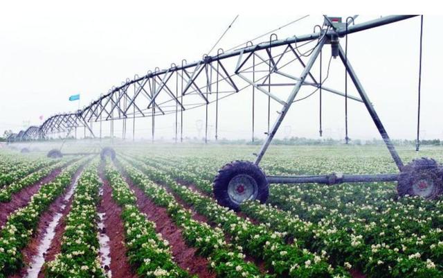 以色列为什么这么强大呢（以色列这个环境恶劣的弹丸小国为何能成为经济大国）(6)