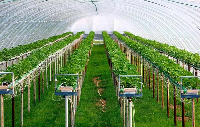 以色列为什么这么强大呢（以色列这个环境恶劣的弹丸小国为何能成为经济大国）(8)