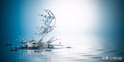 ​雨滴是怎么形成的物理过程(几乎无处不在的水滴，是如何形成的？)