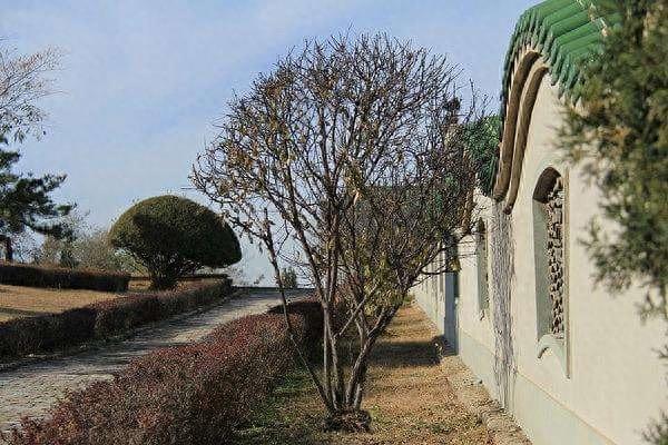 辽宁龙回头景区