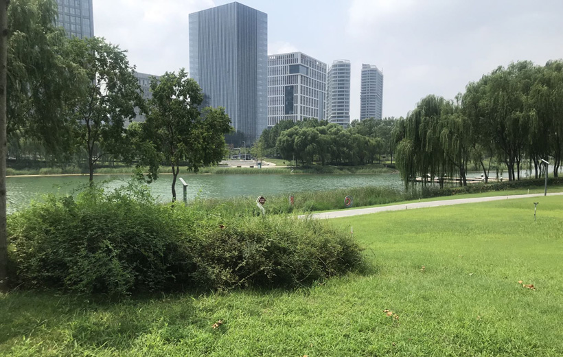 JPG格式的优缺点（jpg格式是什么意思）(图3)