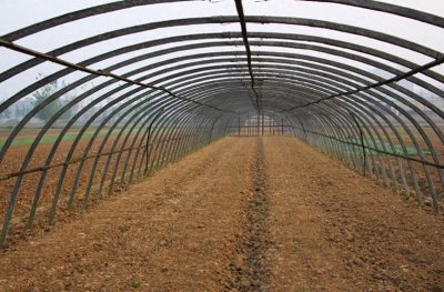 ​一亩大棚大约要多少钱（一亩蔬菜钢架大棚的成本）