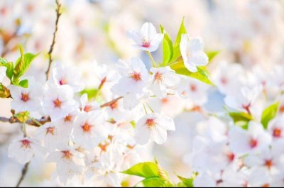 ​爱上中年熟女，你要做到这三点，才能俘获她的芳心