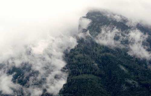 网络图片(侵删)