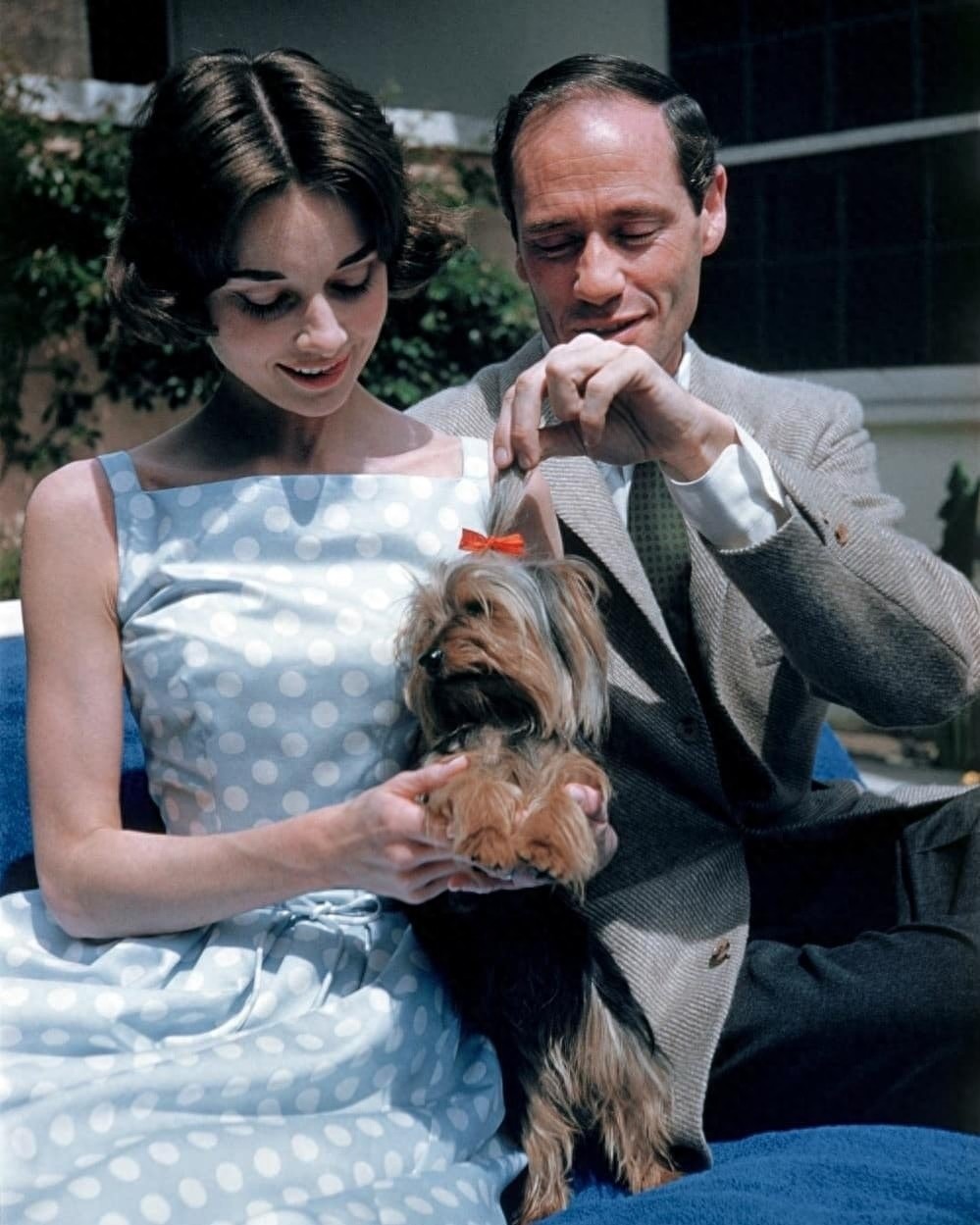 娱乐老照片：奥黛丽赫本与丈夫梅尔费勒