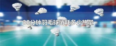 ​羽毛球40分钟消耗的热量 打羽毛球40分钟消耗多少热量