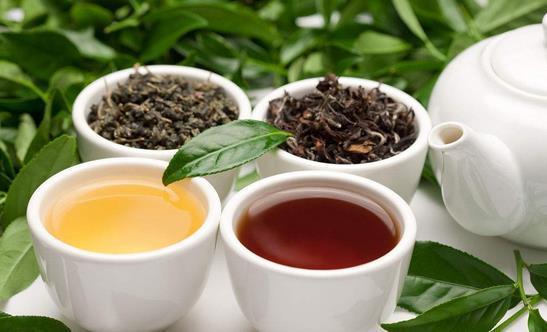 搞笑段子：曾经有一段真挚的爱情摆在我面前，还好没有珍惜