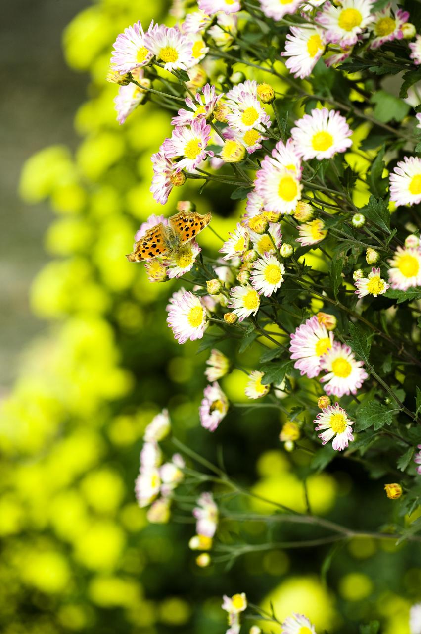 水瓶座男生性格 水瓶男遇到真爱的反应