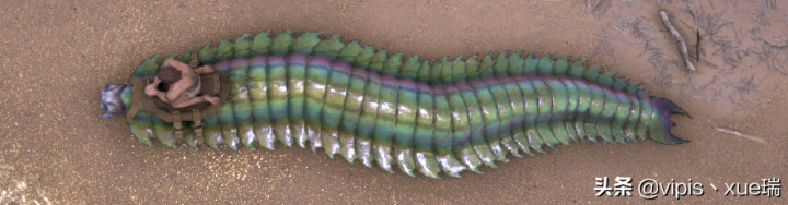 古马陆吃什么（方舟生存进化生物篇古马陆）