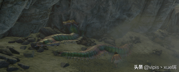 古马陆吃什么（方舟生存进化生物篇古马陆）