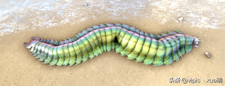 古马陆吃什么（方舟生存进化生物篇古马陆）