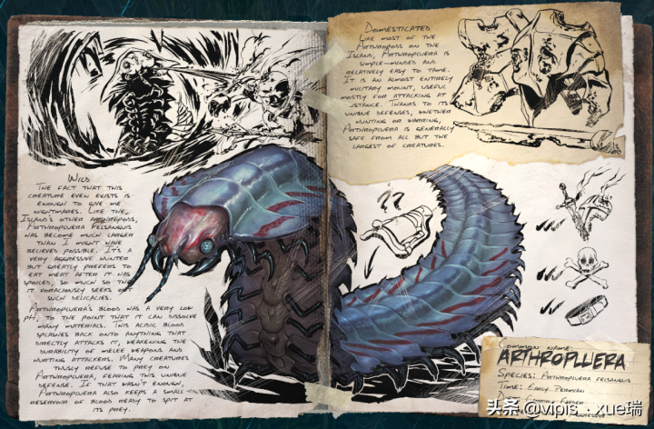 古马陆吃什么（方舟生存进化生物篇古马陆）