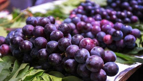 葡萄可以寄快递吗,顺丰快递葡萄可以寄图4