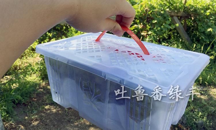 葡萄可以快递吗 会不会坏