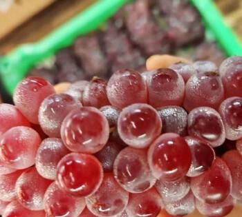 葡萄可以寄快递吗,顺丰快递葡萄可以寄