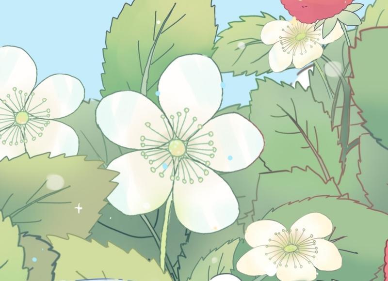 婆媳关系如何处理好 婆媳关系的处理方法