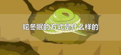 ​蛇冬眠的方式是什么样的（蛇冬眠的方式有哪些）