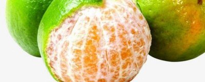 ​橘子里边的白丝叫什么 橘子里面白丝叫什么