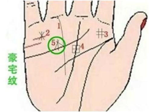 非常少见的“豪宅纹”手相, 可不是你想的那样