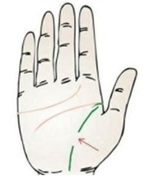 非常少见的“豪宅纹”手相, 可不是你想的那样