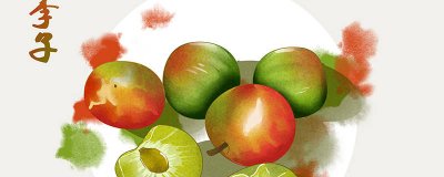 ​李子几月份可以吃 三月李子是什么季节水果