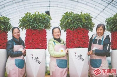 ​武平县：富贵籽热销