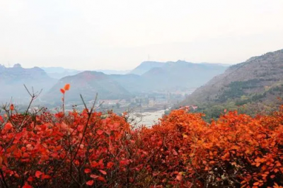 ​博山属于哪个城市